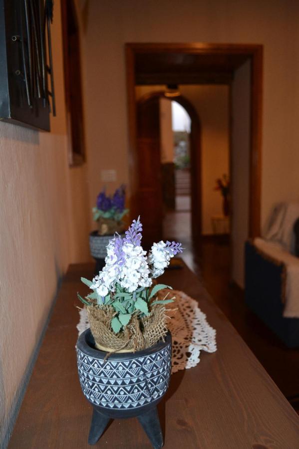 Casa Alamo Agaete Otel Agaete  Dış mekan fotoğraf