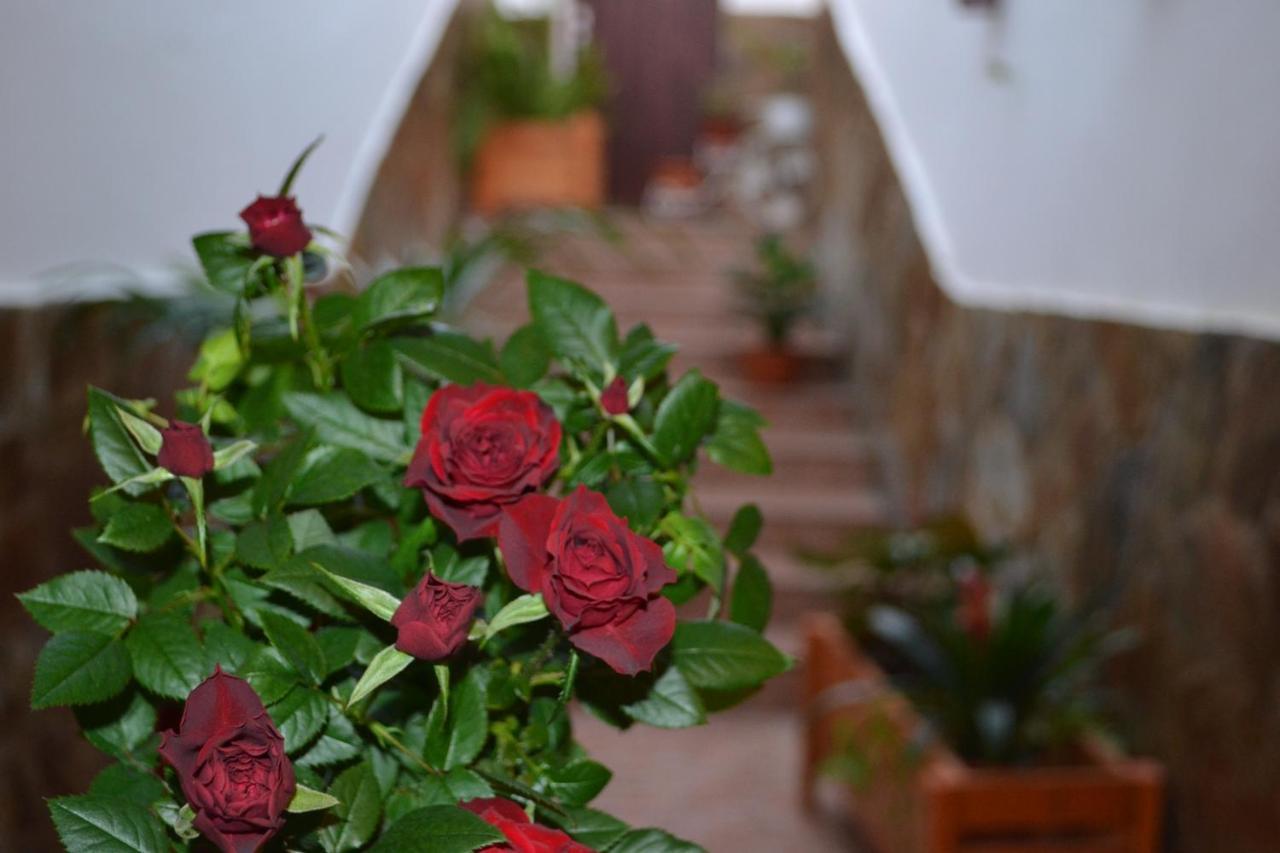 Casa Alamo Agaete Otel Agaete  Dış mekan fotoğraf